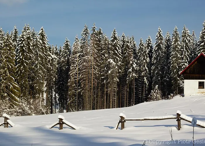 Bed & Breakfast Willa Zwolakowka Istebna