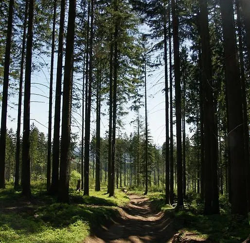 Willa Zwolakowka Oda ve Kahvaltı *