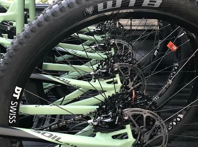 Willa Zwolakowka Bed & Breakfast *